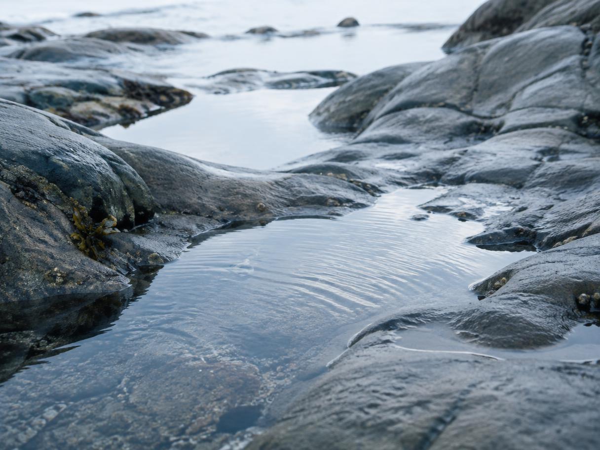 Tide pools resting among smooth wet rocks at low tide